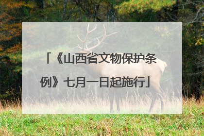 《山西省文物保护条例》七月一日起施行