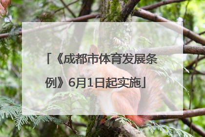 《成都市体育发展条例》6月1日起实施