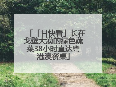 「甘快看」长在戈壁大漠的绿色蔬菜38小时直达粤港澳餐桌