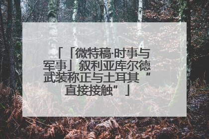 「微特稿·时事与军事」叙利亚库尔德武装称正与土耳其“直接接触”