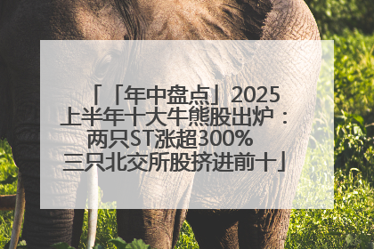 「年中盘点」2025上半年十大牛熊股出炉：两只ST涨超300% 三只北交所股挤进前十