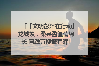 「文明彭泽在行动」龙城镇：桑果盈筐情绵长 育践五柳报春晖