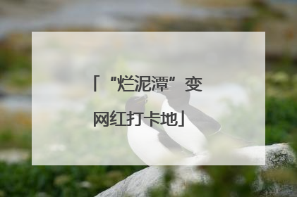 “烂泥潭”变网红打卡地