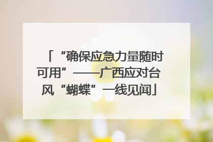 “确保应急力量随时可用”——广西应对台风“蝴蝶”一线见闻