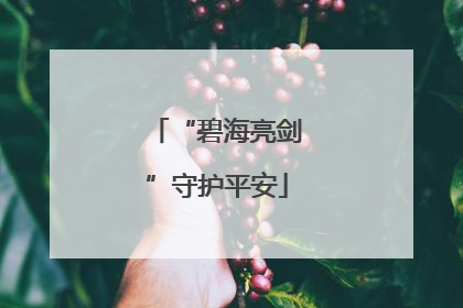 “碧海亮剑”守护平安