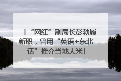 “网红”副局长彭勃履新职，曾用“英语+东北话”推介当地大米