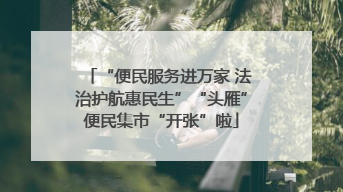 “便民服务进万家 法治护航惠民生”“头雁”便民集市“开张”啦