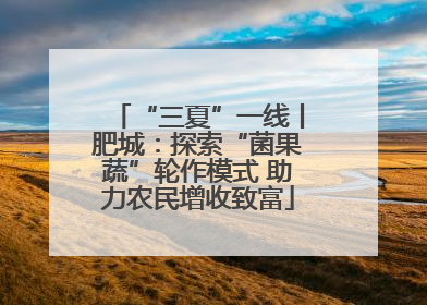 “三夏”一线丨肥城：探索“菌果蔬”轮作模式 助力农民增收致富