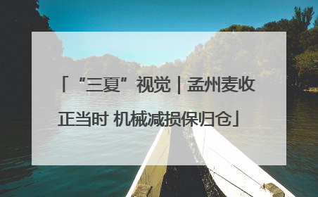 “三夏”视觉｜孟州麦收正当时 机械减损保归仓