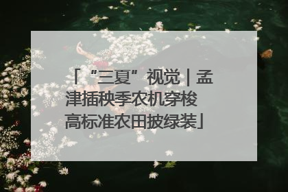 “三夏”视觉｜孟津插秧季农机穿梭 高标准农田披绿装