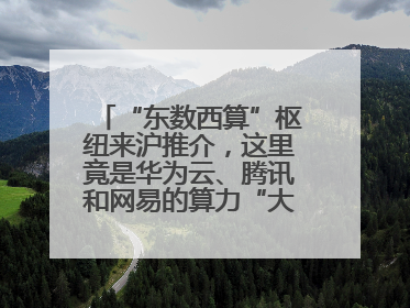 “东数西算”枢纽来沪推介，这里竟是华为云、腾讯和网易的算力“大本营”