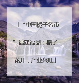 “中国栀子名市”福建福鼎：栀子花开，产业兴旺
