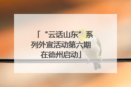 “云话山东”系列外宣活动第六期在德州启动