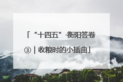 “十四五”·衡阳答卷③｜收粮时的小插曲