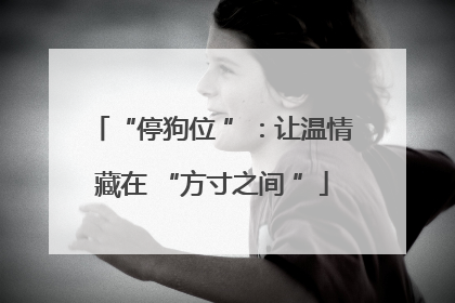“停狗位 ”：让温情藏在 “方寸之间 ”