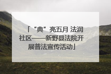 “典”亮五月 法润社区——新野县法院开展普法宣传活动