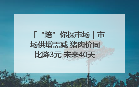 “培”你探市场｜市场供增需减 猪肉价同比降3元 未来40天便宜猪肉敞开吃