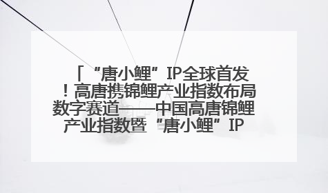 “唐小鲤”IP全球首发！高唐携锦鲤产业指数布局数字赛道——中国高唐锦鲤产业指数暨“唐小鲤”IP全球首发仪式在杭州举行