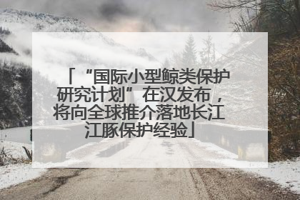“国际小型鲸类保护研究计划”在汉发布，将向全球推介落地长江江豚保护经验