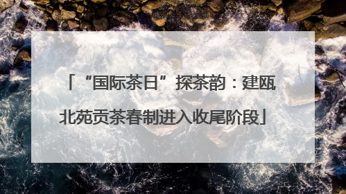 “国际茶日”探茶韵：建瓯北苑贡茶春制进入收尾阶段