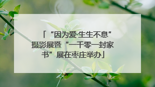 “因为爱·生生不息”摄影展暨“一千零一封家书”展在枣庄举办