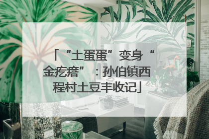 “土蛋蛋”变身“金疙瘩”：孙伯镇西程村土豆丰收记