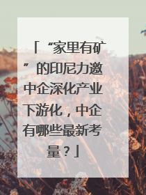 “家里有矿”的印尼力邀中企深化产业下游化，中企有哪些最新考量？