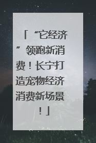 “它经济”领跑新消费！长宁打造宠物经济消费新场景！