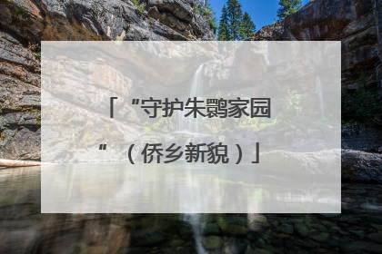 “守护朱鹮家园”（侨乡新貌）