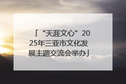 “天涯文心”2025年三亚市文化发展主题交流会举办