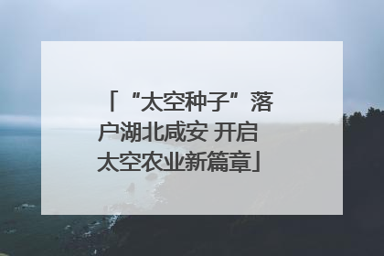 “太空种子”落户湖北咸安 开启太空农业新篇章