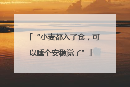 “小麦都入了仓，可以睡个安稳觉了”