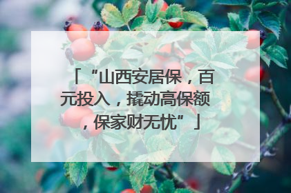 “山西安居保，百元投入，撬动高保额，保家财无忧”