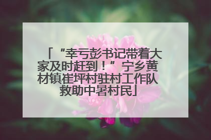 “幸亏彭书记带着大家及时赶到！”宁乡黄材镇崔坪村驻村工作队救助中暑村民