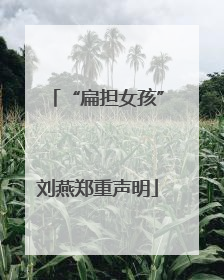 “扁担女孩”刘燕郑重声明