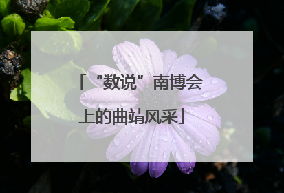 “数说”南博会上的曲靖风采