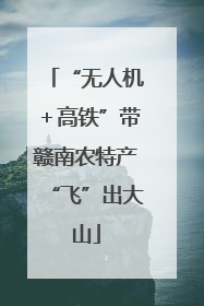 “无人机＋高铁”带赣南农特产“飞”出大山