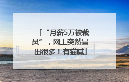 “月薪5万被裁员”，网上突然冒出很多！有猫腻
