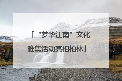 “梦华江南”文化雅集活动亮相柏林