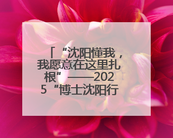 “沈阳懂我，我愿意在这里扎根”——2025“博士沈阳行”活动侧记