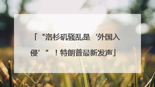 “洛杉矶骚乱是‘外国入侵’”！特朗普最新发声