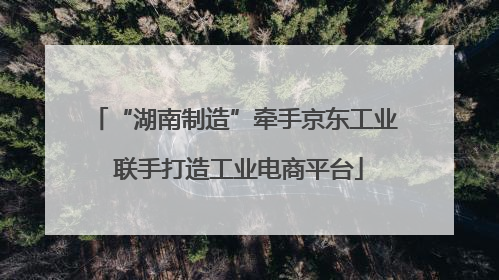 “湖南制造”牵手京东工业 联手打造工业电商平台