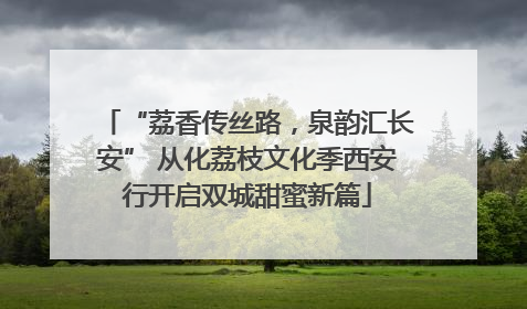 “荔香传丝路，泉韵汇长安” 从化荔枝文化季西安行开启双城甜蜜新篇