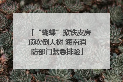 “蝴蝶”掀铁皮房顶吹倒大树 海南消防部门紧急排险