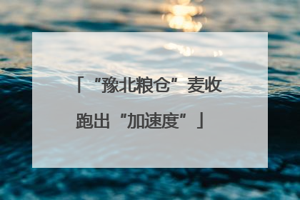 “豫北粮仓”麦收跑出“加速度”