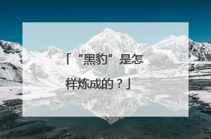 “黑豹”是怎样炼成的？