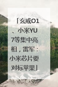 玄戒O1、小米YU7等集中亮相，雷军：小米芯片要对标苹果
