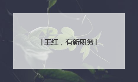 王红，有新职务