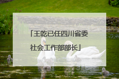 王乾已任四川省委社会工作部部长