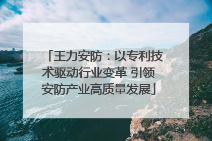 王力安防：以专利技术驱动行业变革 引领安防产业高质量发展